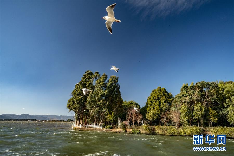 (图文互动)(7)跨越发展起宏图 信心满怀著华章——习近平总书记考察云南回访记