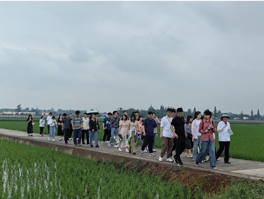 截图_选择区域_20240605100154.png