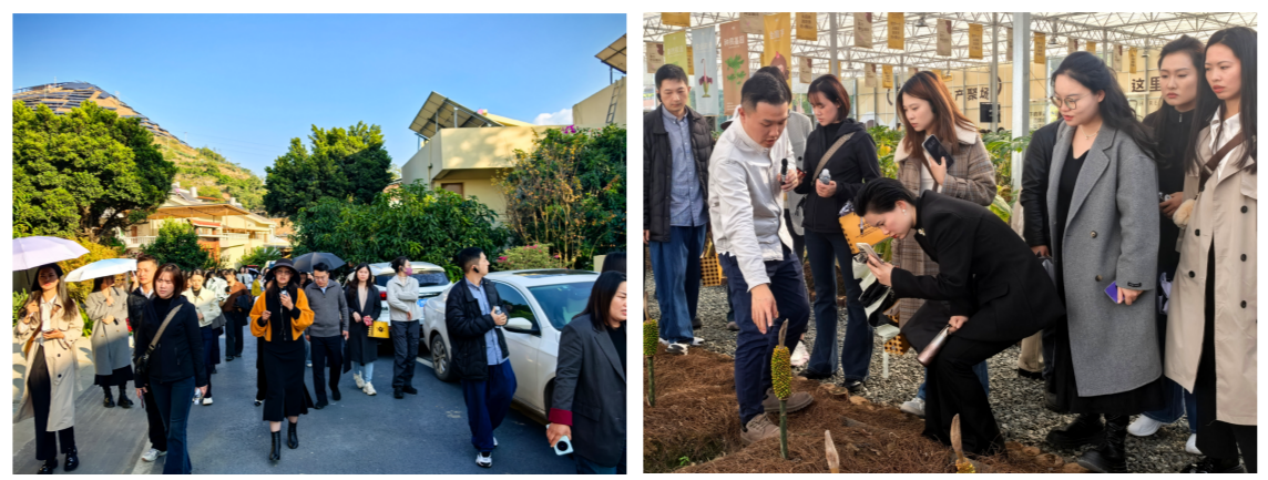 1764730012762.png 图片11、12.png